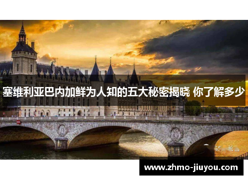 塞维利亚巴内加鲜为人知的五大秘密揭晓 你了解多少 塞维利亚巴内加鲜为人知的五大秘密揭晓 你了解多少