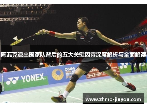 陶菲克退出国家队背后的五大关键因素深度解析与全面解读 陶菲克退出国家队背后的五大关键因素深度解析与全面解读