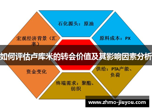 如何评估卢库米的转会价值及其影响因素分析 如何评估卢库米的转会价值及其影响因素分析