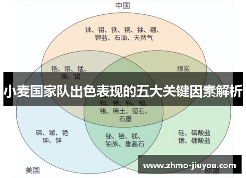 小麦国家队出色表现的五大关键因素解析 小麦国家队出色表现的五大关键因素解析