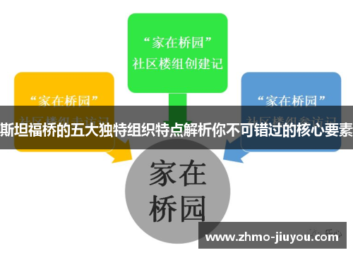 斯坦福桥的五大独特组织特点解析你不可错过的核心要素