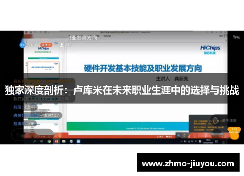 独家深度剖析：卢库米在未来职业生涯中的选择与挑战