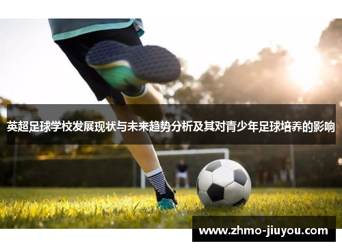 英超足球学校发展现状与未来趋势分析及其对青少年足球培养的影响