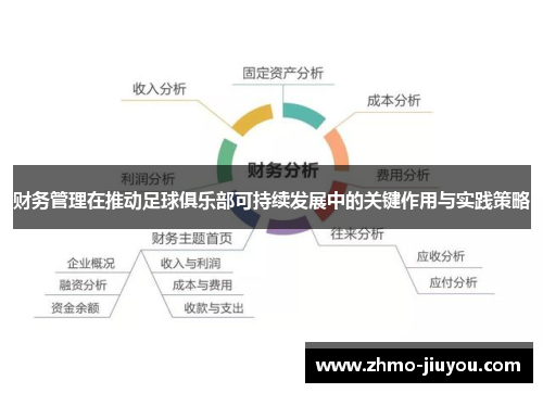 财务管理在推动足球俱乐部可持续发展中的关键作用与实践策略 财务管理在推动足球俱乐部可持续发展中的关键作用与实践策略